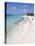 White Sands Beach, Grand Turk Island, Turks and Caicos Islands, West Indies, Caribbean-Richard Cummins-Premier Image Canvas