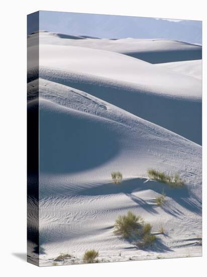 White Sands Desert, New Mexico, USA-Adam Woolfitt-Premier Image Canvas