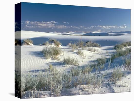White Sands Desert, New Mexico, USA-Adam Woolfitt-Premier Image Canvas