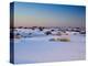 White Sands National Monument, New Mexico, United States of America, North America-Mark Chivers-Premier Image Canvas