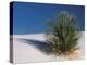 White Sands, New Mexico, USA-Dee Ann Pederson-Premier Image Canvas