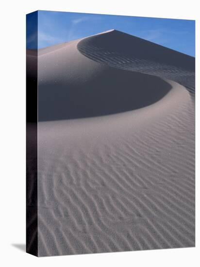 White Sands, New Mexico, USA-Dee Ann Pederson-Premier Image Canvas