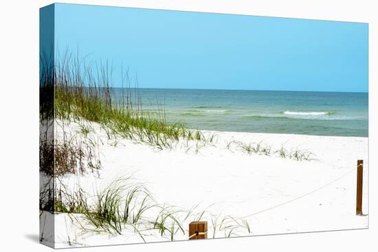 White Sandy Beach II-Gail Peck-Premier Image Canvas