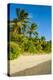 White Sandy Beach, Oarsman Bay, Yasawa, Fiji, South Pacific-Michael Runkel-Premier Image Canvas