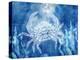 White Sea Creatures 3-Kimberly Allen-Stretched Canvas