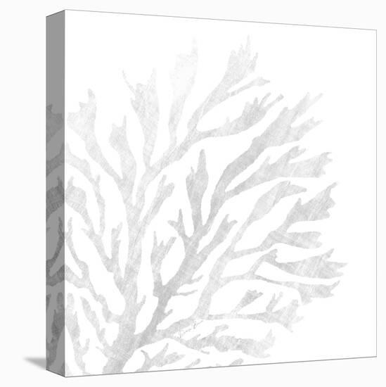 White Seaweed 2-Denise Brown-Stretched Canvas