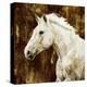 White Stallion-Martin Rose-Stretched Canvas