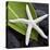 White Starfish on Green Leaf-Uwe Merkel-Premier Image Canvas