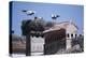 White Storks Nesting on Buildings (Ciconia Ciconia) Spain-null-Premier Image Canvas