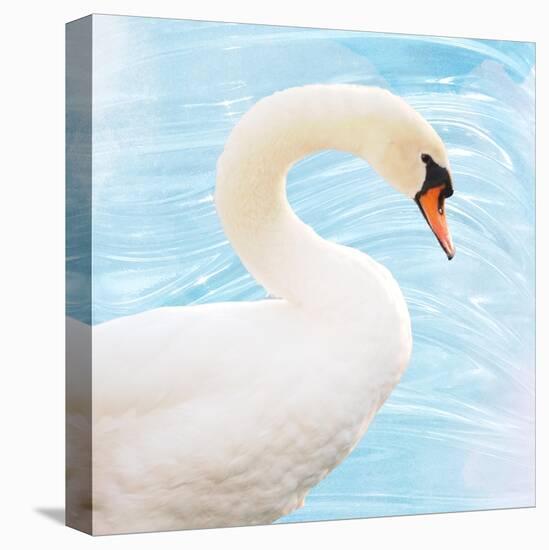 White Swan-Gail Peck-Stretched Canvas