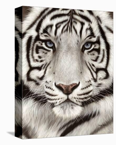 White Tiger Face Portrait Stretched Canvas Print Rachel Stribbling Art Com