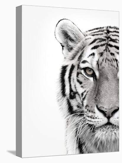 White Tiger-Design Fabrikken-Premier Image Canvas