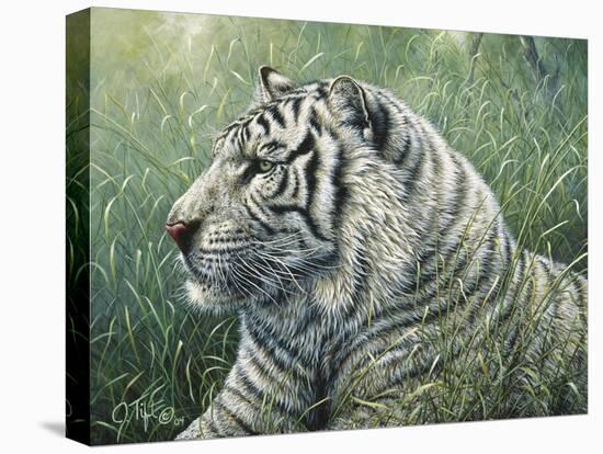White Tiger-Jeff Tift-Premier Image Canvas