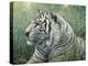 White Tiger-Jeff Tift-Premier Image Canvas