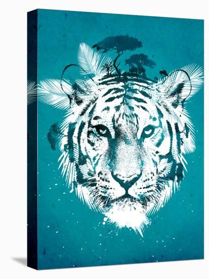 White Tiger-Robert Farkas-Stretched Canvas