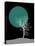 White Tree and Big Moon-Jasmine Woods-Stretched Canvas