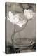 White Tulip Celebration I-Richard Sutton-Stretched Canvas