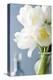 White Tulips Bouquet-Christine Zalewski-Stretched Canvas
