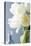 White Tulips Bouquet-Christine Zalewski-Stretched Canvas