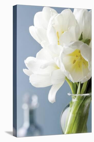 White Tulips Bouquet-Christine Zalewski-Stretched Canvas