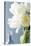 White Tulips Bouquet-Christine Zalewski-Stretched Canvas