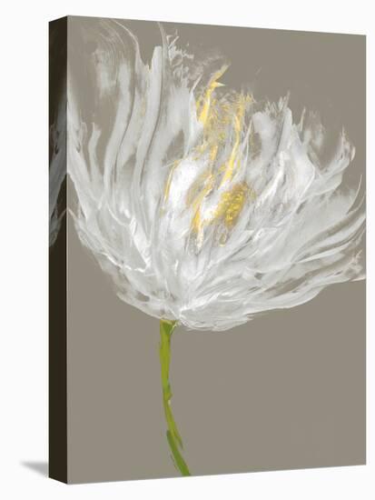 White Tulips I-Vanessa Austin-Stretched Canvas
