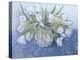 White Tulips-Cristiana Angelini-Premier Image Canvas