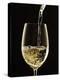 White Wine Pouring from Bottle into Glass-John Hay-Premier Image Canvas