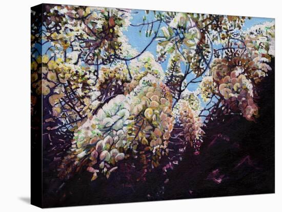 White Wisteria, 2012-Helen White-Premier Image Canvas