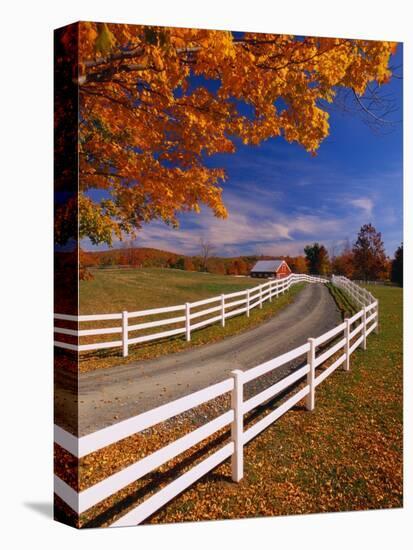 White Wooden Fence Along Farm-Bob Krist-Premier Image Canvas