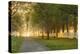 White wooden fence reflecting sunrise, Shaker Village of Pleasant Hill, Harrodsburg, Kentucky-Adam Jones-Premier Image Canvas