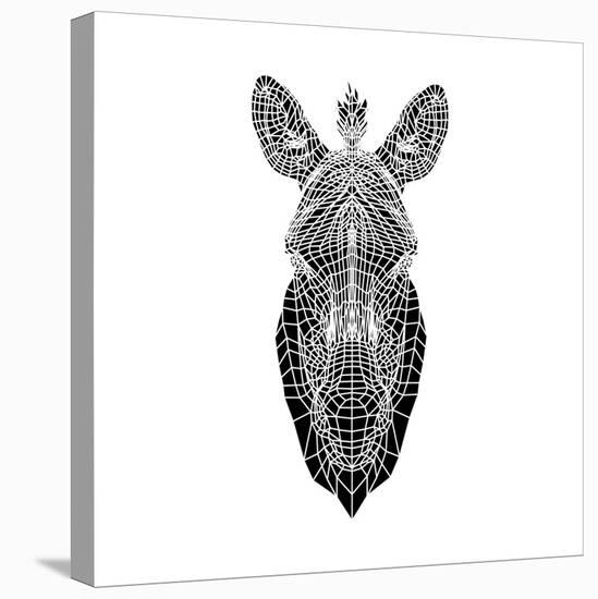 White Zebra Mesh-Lisa Kroll-Stretched Canvas