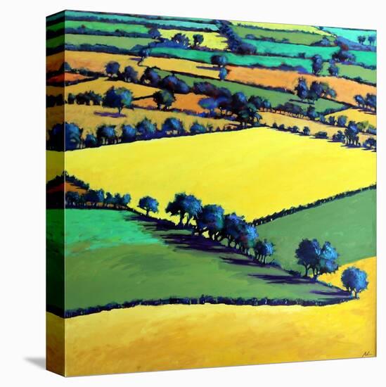 Whiteleaved oak-Paul Powis-Premier Image Canvas