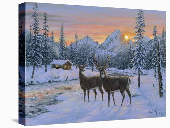 Whitetail and Cabin-Jeff Tift-Premier Image Canvas