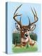 Whitetail Deer Montage Spring-William Vanderdasson-Premier Image Canvas