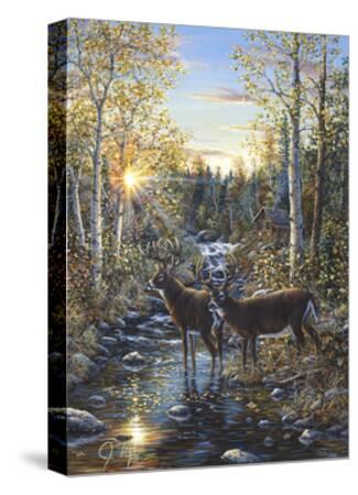 Whitetail Deer Giclee Print Jeff Tift Art Com