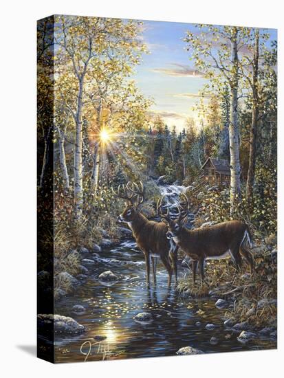 Whitetail Deer-Jeff Tift-Premier Image Canvas