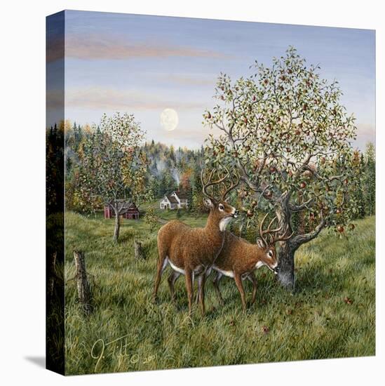 Whitetails under the Apple Tree-Jeff Tift-Premier Image Canvas