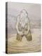 Who has taken my seven silverducks, 1913 watercolor on paper-Theodor Severin Kittelsen-Premier Image Canvas