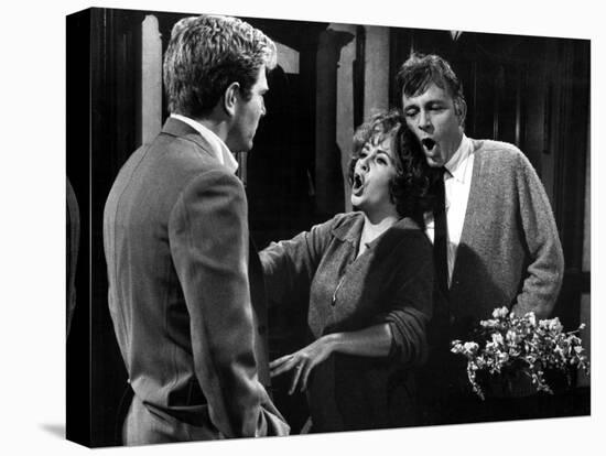 Who's Afraid Of Virginia Woolf?, George Segal, Elizabeth Taylor, Richard Burton, 1966-null-Stretched Canvas