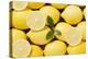 Whole Lemons and Lemon Slices-Eising Studio - Food Photo and Video-Premier Image Canvas