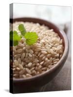 Wholegrain Rice in a Terracotta Bowl-Malgorzata Stepien-Premier Image Canvas