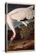 Whooping Crane, from "Birds of America"-John James Audubon-Premier Image Canvas