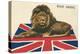 Wide Awake British Lion on Union Jack-null-Stretched Canvas