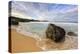 Wide Morning Seascape at Garrapata State Beach, California Coast-Vincent James-Premier Image Canvas
