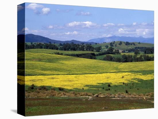 Wide Open Rolling Landscape, High Country, Australia-Richard Nebesky-Premier Image Canvas