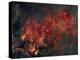 Widefield View of He Crescent Nebula-Stocktrek Images-Premier Image Canvas