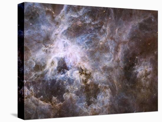 Widefield View of the Tarantula Nebula-null-Premier Image Canvas