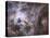 Widefield View of the Tarantula Nebula-null-Premier Image Canvas