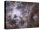 Widefield View of the Tarantula Nebula-null-Premier Image Canvas